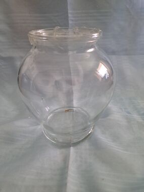 Clear Glass Decorative Vase - Transparent Home Accent